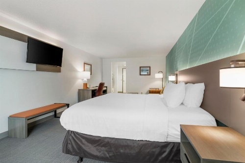 Comfort Inn & Suites image 25