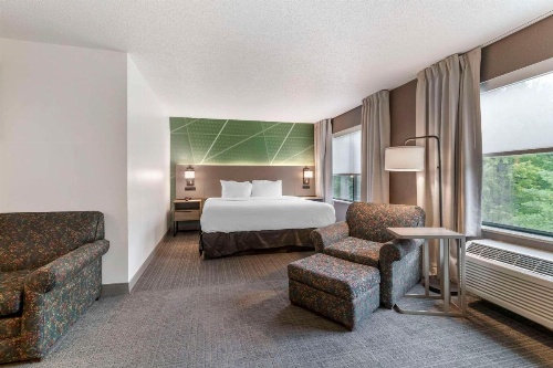 Comfort Inn & Suites image 40